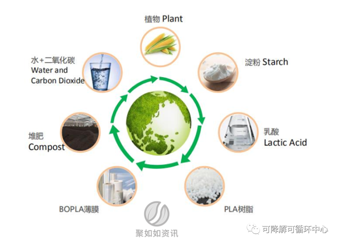 中侖新材IPO受理，擬建2萬噸高端BOPLA薄膜