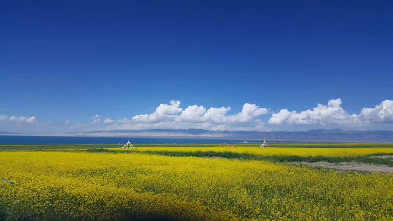 塔爾寺-茶卡鹽湖-青海湖二郎劍 純玩高端3日游