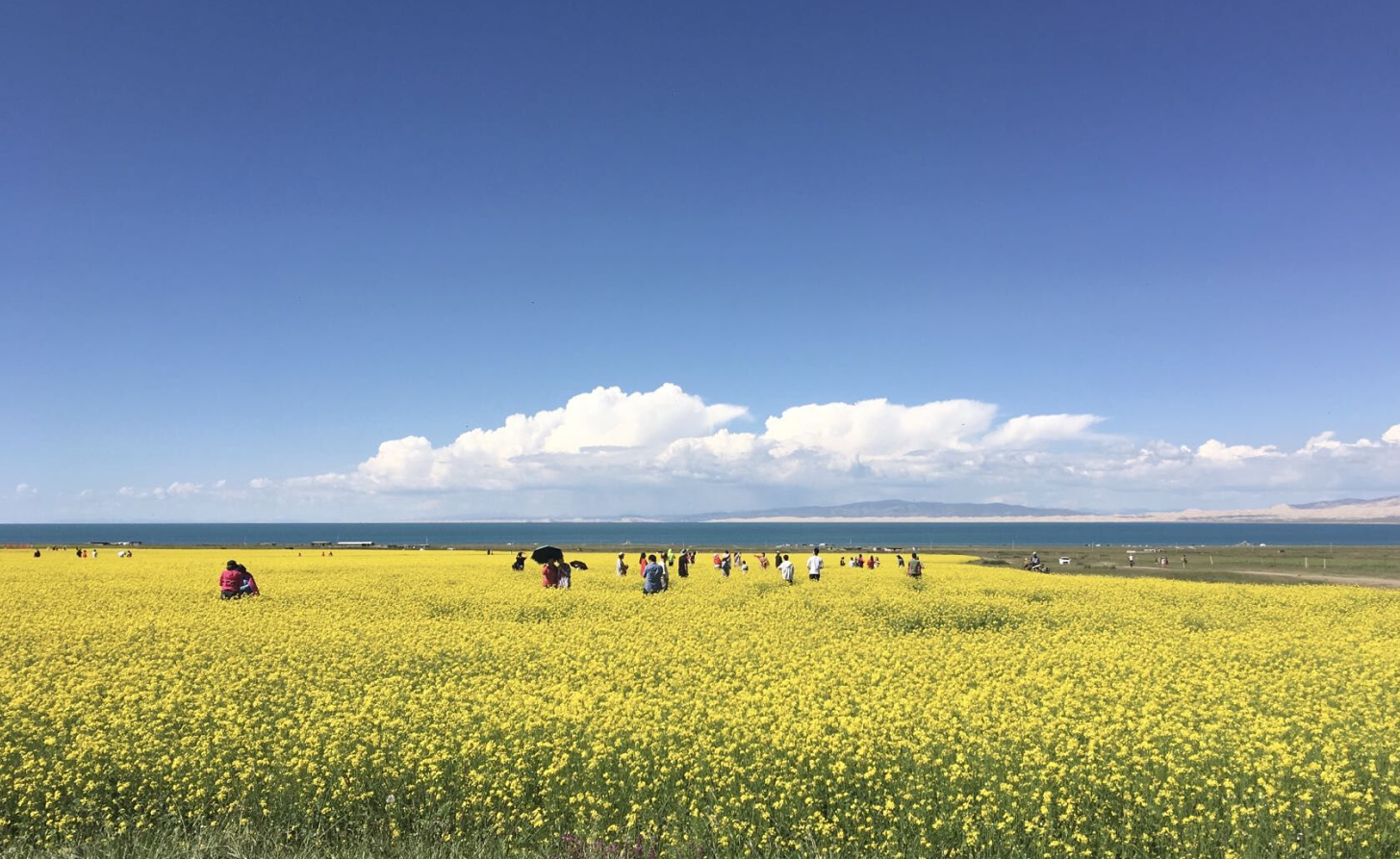 藍(lán)寶石湖泊天空之境茶卡鹽湖一日游